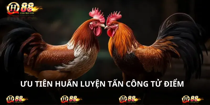 Các sư kê hãy ưu tiên huấn luyện chiến binh của mình về các tử điểm